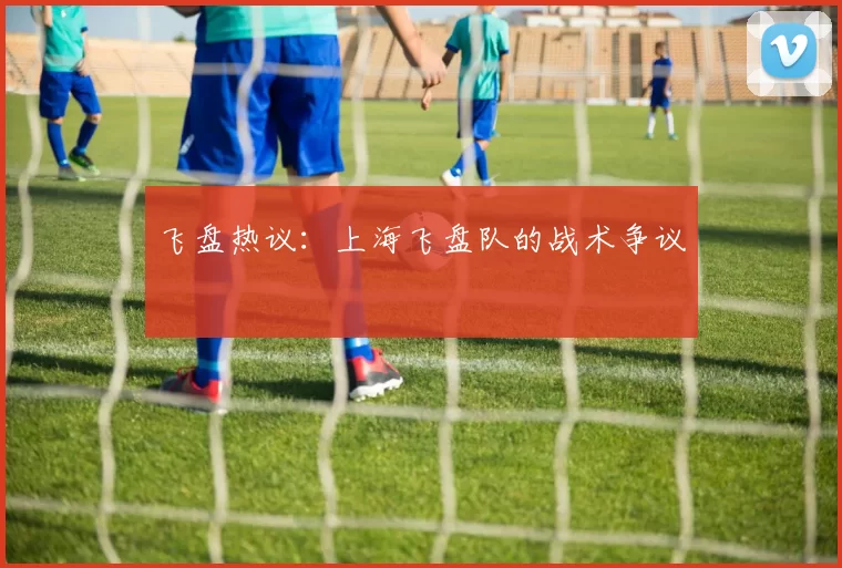 飞盘热议：上海飞盘队的战术争议