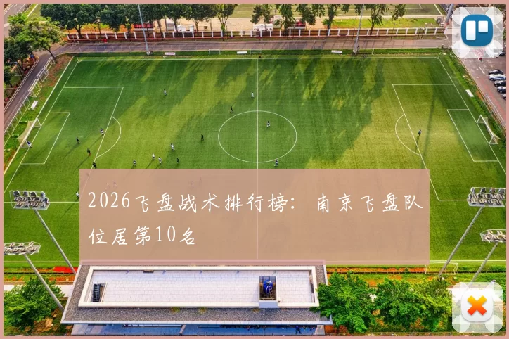 2026飞盘战术排行榜：南京飞盘队位居第10名