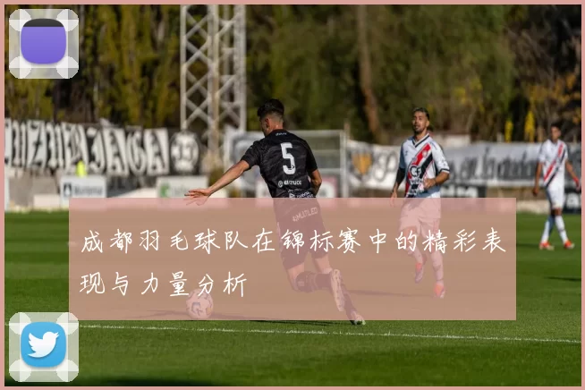 成都羽毛球队在锦标赛中的精彩表现与力量分析