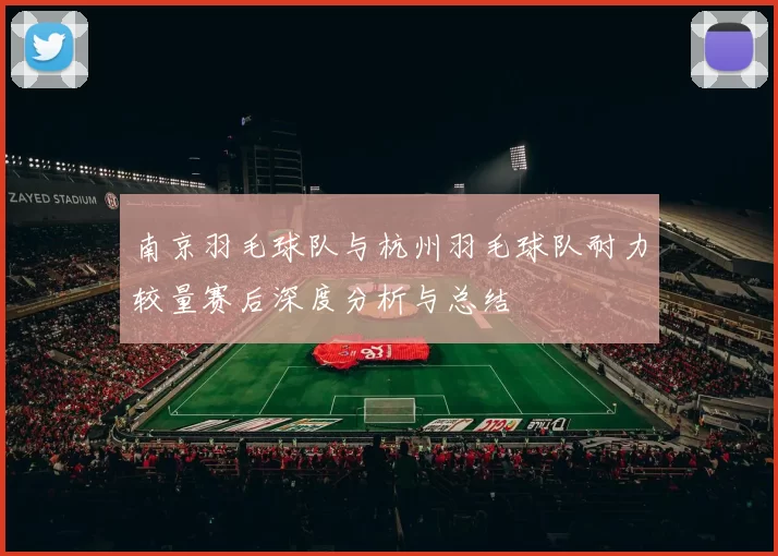 南京羽毛球队与杭州羽毛球队耐力较量赛后深度分析与总结