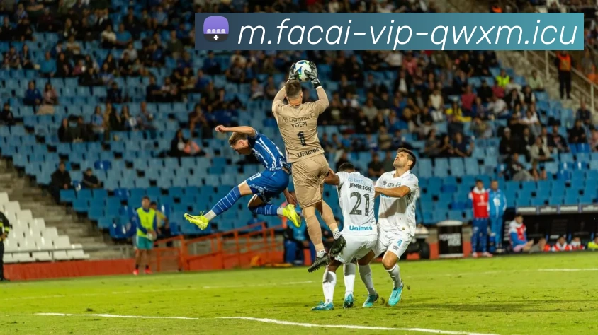 星空体育注册平台生态图